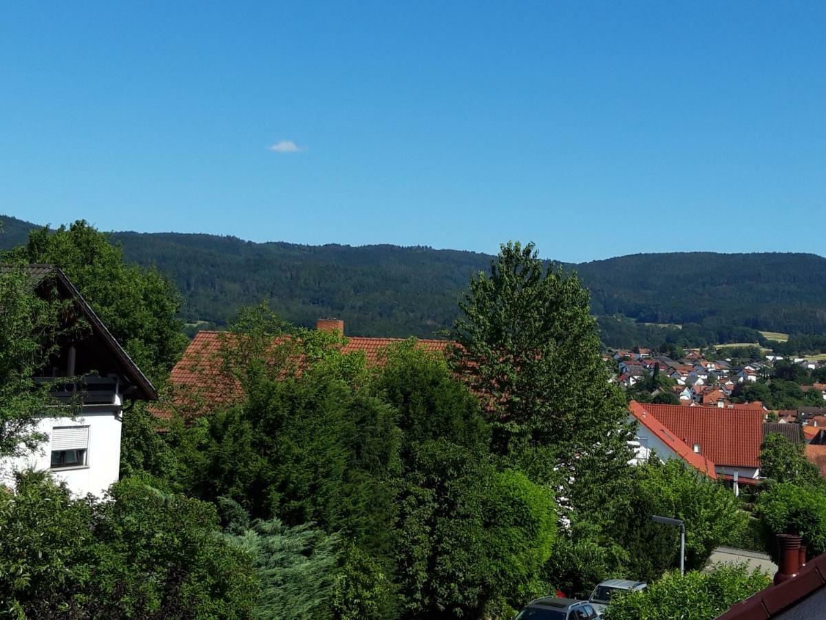 Ferienwohnung Trommblick - Natur Pur - Rimbach Im Odenwald 외부 사진